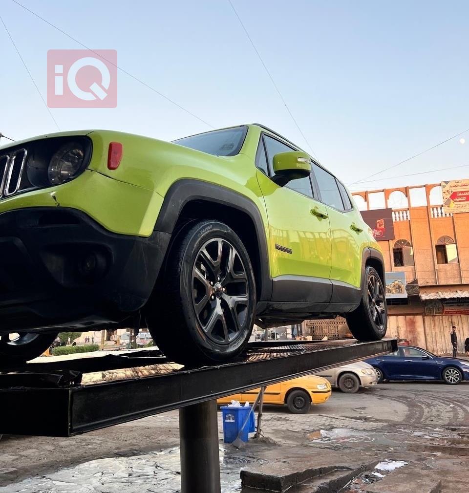 جيب رينيجيد